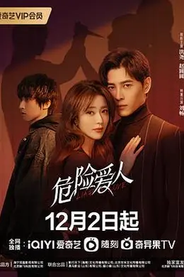 危险爱人封面图