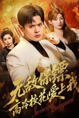 无敌保镖，高冷校花爱上我海报图片
