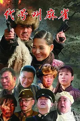 代号叫麻雀封面图