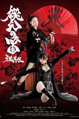 牙狼外传：桃幻之笛海报图片