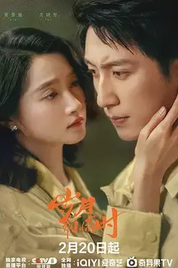 岁月有情时海报图片