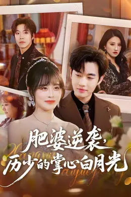肥婆逆袭，历少的掌心白月光海报图片