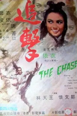 追击1971海报图片