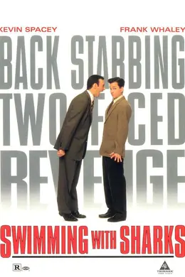 与鲨同游封面图