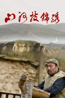 山河披锦绣封面图