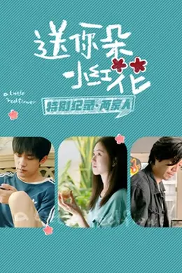 送你一朵小红花 特别纪录最终集封面图