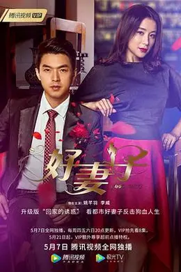 好妻子2020封面图