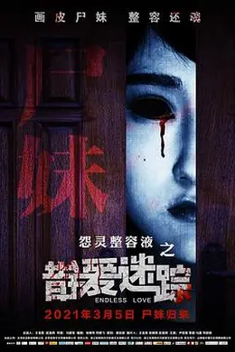 错爱迷踪封面图