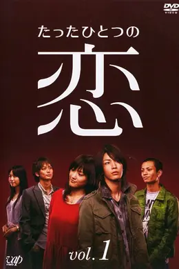 唯一的爱封面图