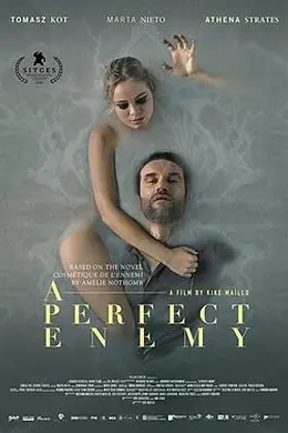 完美敌人封面图