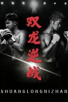 双龙逆战（拳王之父子双龙）封面图