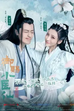 御赐小医仙封面图