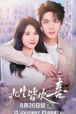 此生皆欢喜封面图