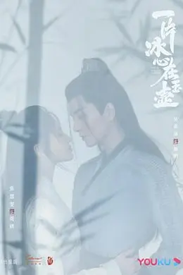 一片冰心在玉壶封面图