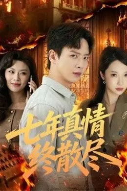 七年真情终散尽海报图片