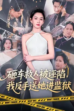 砸车救人被诬陷，我反手送她进监狱封面图