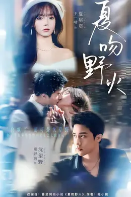 夏吻野火封面图