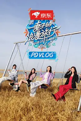 妻子的浪漫旅行6 PDvlog封面图