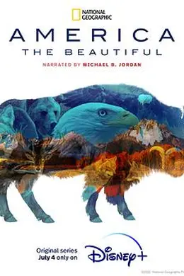 美丽美利坚封面图