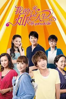 我的灿烂人生封面图