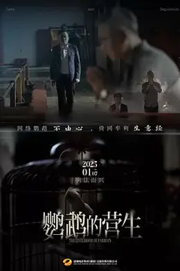 鹦鹉的营生封面图