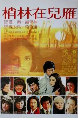 雁儿在林梢封面图