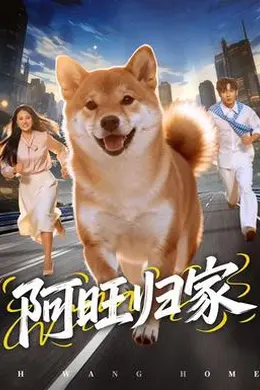 阿旺归家封面图