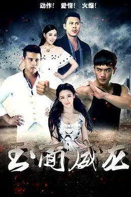 玉面威龙封面图