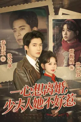 一心想离婚，少夫人她不好惹封面图