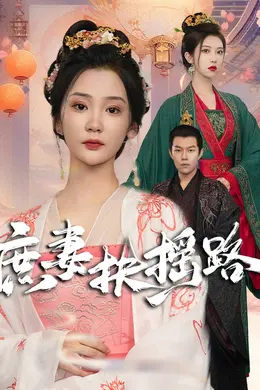 庶妻扶摇路海报图片