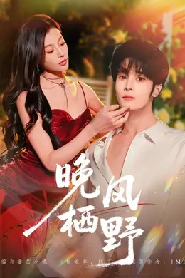 晚风栖野封面图