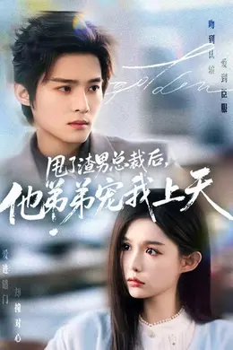 甩了渣男总裁后，他弟弟宠我上天海报图片
