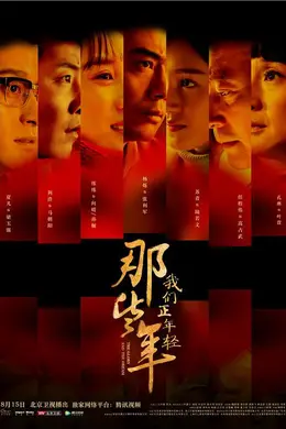 那些年，我们正年轻封面图