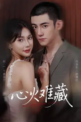 心火难藏封面图