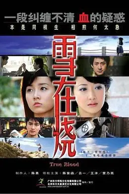 雪在烧 2007封面图