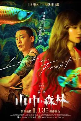 山中森林封面图