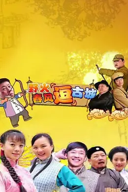 野火春风“逗”古城（TV版）封面图