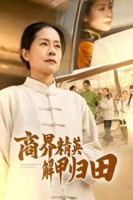 商界精英解甲归田海报图片