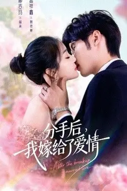 分手后我嫁给了爱情封面图