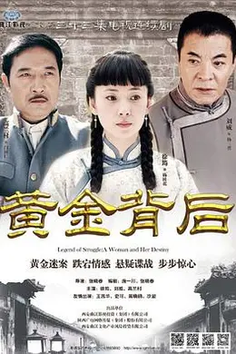 黄金背后封面图