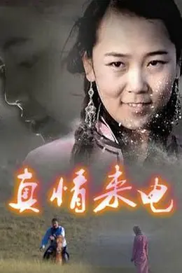 真情来电封面图