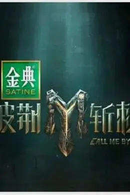 披荆斩棘第四季封面图