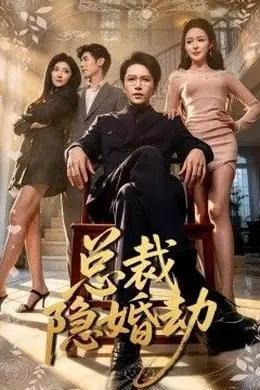 总裁隐婚劫封面图
