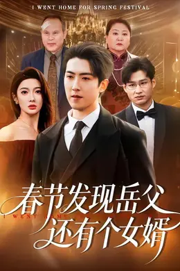 春节发现岳父还有个女婿海报图片