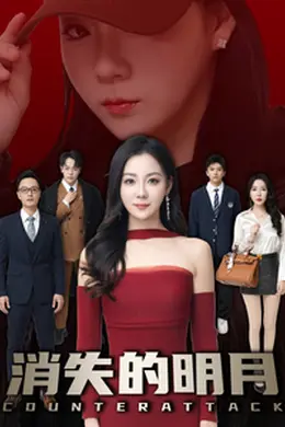 消失的明月海报图片