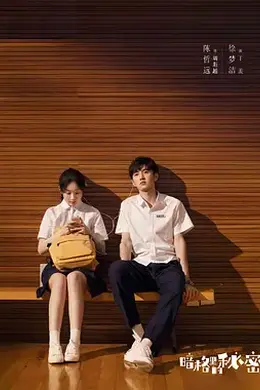 暗格里的秘密封面图