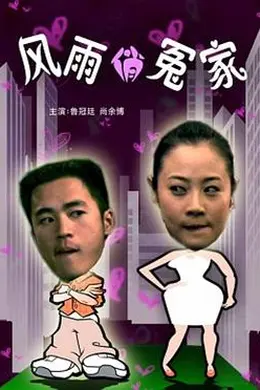 风雨俏冤家封面图