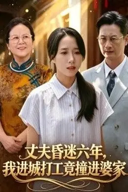 丈夫昏迷六年，我进城打工竟撞进婆家封面图