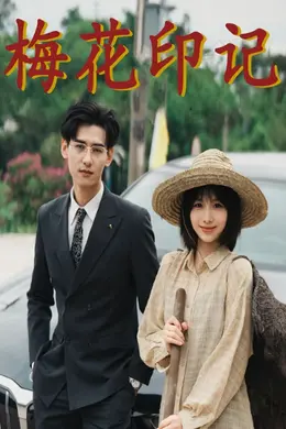 梅花印记海报图片