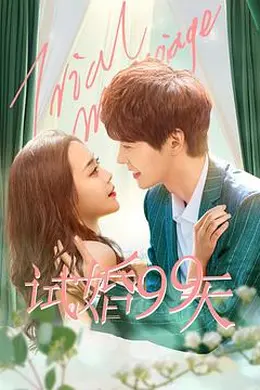 试婚99天封面图
